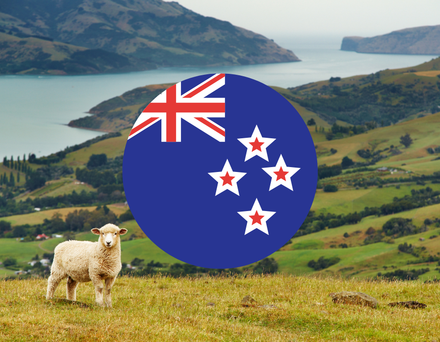 Journey to New Zealand